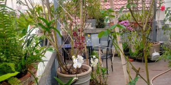 Hàng hiếm: lô góc Hoàng Hoa Thám sát Q1 giá rẻ, rất tốt cho đầu tư.