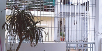 Nhà mới đẹp Bồ Đề 50m, lô góc, ô tô đỗ cửa.