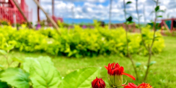 Siêu PhẫmLàng Sinh Thái Bật Nhất BẢO LỘC < DT 200m2 > Giá Chỉ 6tr/1m2.SHR.