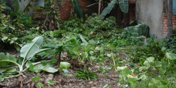 Đất sổ riêng 145m2 tại KP4, Trảng Dài, Biên Hòa, Đổng Nai