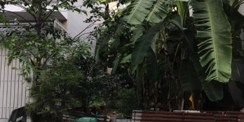 CẦN BÁN MIẾNG ĐẤT SAU GIÁO SỨ BẮC HẢI, BIÊN HOÀ.