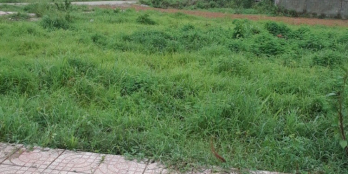 Đất nên thổ cư dầu tư sinh lời