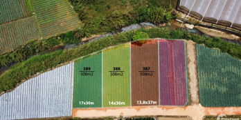 ĐẤTTHÀNH PHỐ ĐÀ LẠT , PHƯỜNG 10 ,DIỆN TÍCH 508M2 SỔ HỒNG