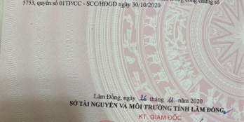 Bán đất Đà Lạt 200m2 thổ cư , gần chợ Thái Phiên