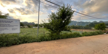 Lô đất Rừng thông Bản Áng Mộc Châu cực đẹp vuông vắn có thổ cư. liên hệ ngay 082