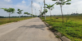 Giỏ hàng ngoại giao đẹp nhất, giá tốt nhất KĐT Sao Mai CK 1%, ưu ngay 1 chỉ vàng