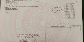 Chính chủ cần bán Đất Vườn Nhãn Bình Châu Tổng diện tích:3,5 ha