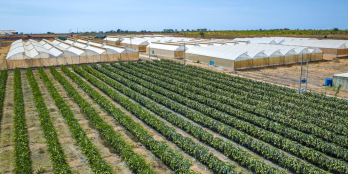 Lô Đất DT 14353m2 Xã Hòa Thắng, Bắc Bình. Khu Dưa Lưới Văn Minh, Cách DT716 500m