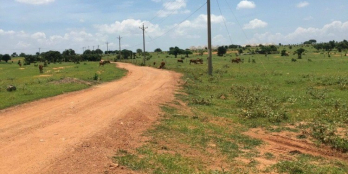 Lô đất chính chủ ngay 2 tuyến đường quy hoạch, đầu tư siêu lợi giá chỉ 90k/m2