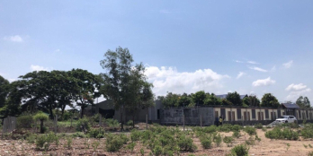 Chính chủ cần bán gấp -ĐẤT NN sổ riêng P12 500M2