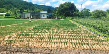 Đất view núi, bằng phẳng , 500m2 /100m thổ cư xây dựng