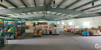 Cho thuê kho xưởng 4000m2 tại Khu chế xuất Tân Thuận, Quận 7
