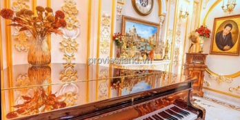 Bán biệt thự Quận 1, đường Cây Diệp, 8x15m, nội thất cực kỳ cao cấp