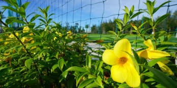 Bán homestay mới xây ở thành phố Hội An 3 tầng - CHO THUÊ 30TR/THÁNG