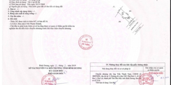 LỰA CHỌN LÀ Ở CÁ NHÂN BẠN, AN CƯ LẠC NGHIỆP ĐẤT VÀNG BÌNH DƯƠNG