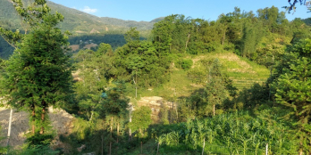 Mảnh đất Thôn Sín chải Y Tý Lào Cai cực đẹp gần Suối cạn - 0822356688