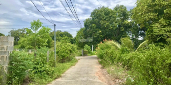 Chính chủ cần bán nhanh lô đất giá rẻ, gần QL 1A, phù hợp thổ cư. LH: 0909277255