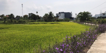 BÁN NHANH LÔ ĐẤT 2 MẶT TIỀN CỰC RẺ DIÊN TOÀN- DIÊN KHÁNH - KHÁNH HOÀ