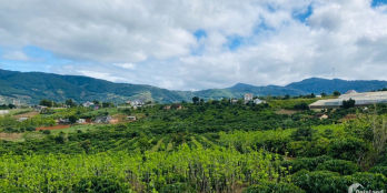 Tặng ngay 3 chỉ vàng cho người mua nhanh lô đất ven Đà Lạt huyện Lâm Hà Lâm Đồng