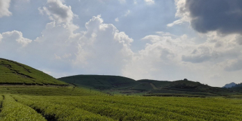 Siêu phẩm view nhìn xuống đồi chè trái tim Mộc Châu, liên hệ để được đi xem đất