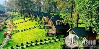 Mảnh đất ở gần UBND xã Đông Sang, Mộc Châu siêu rẻ cho nhà đầu tư thông minh