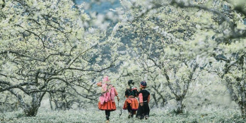 Mảnh đất ở xã Mường Sang, Mộc Châu giá siêu đáng yêu, đất tiềm năng