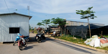 Bán đất nền dự án Sao Mai - Thanh Hóa 115m2, đã có sổ.