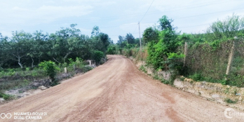 Chính Chủ Bán 2 Sào Đất 2 Mặt Tiền Ấp 2 Xuân Bắc 850tr