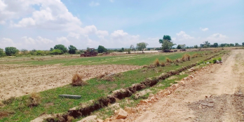 ĐẤT BÌNH THUẬN 2500m2 NGAY ĐƯỜNG BÀU TRẮNG, CÁCH BIỂN 1KM