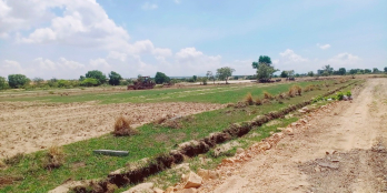 ĐẤT BÌNH THUẬN MẶT TIỀN ĐƯỜNG BÀU TRẮNG 2450m2