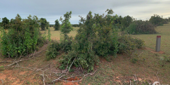 Đất view Sông Lũy, liền kề KDC, sát bên QL1A. Đất vuông vức đẹp, đường lớn