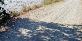 26000m2 đất lúa chưa qua đầu tư giá rẻ nhất khu vực