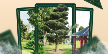  *THE ORIGAMI - CĂN HỘ TẦNG 2 GIÁ CỰC ƯU ĐÃI !!!*