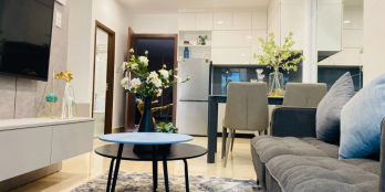 Căn hộ trả trước chỉ 239 triệu, chủ đầu tư hỗ trợ lãi đến khi nhận nhà hoàn thện