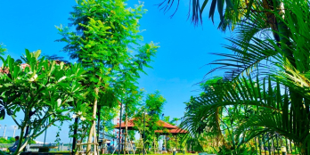 Nhà Phố Khu Dân Cư The Pearl Riverside Bến Lức, Nhà Có Sẵn, Sổ Hồng Riêng.