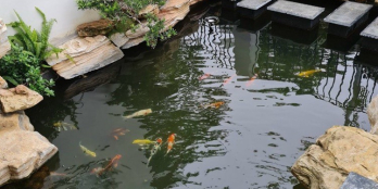 Bán dự á Times Garden Vĩnh Yên