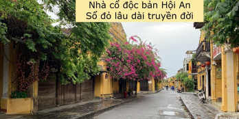 Nhà phố cổ Hội An - Giá trị vượt thời gian - Tinh hoa miền di sản