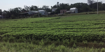 Bán đất Phú Lộc, Huế: Diện tích: 250m2 (10x25). Giá 780 triệu.