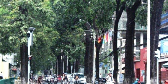 Bán MT 138ABC Nguyễn Đình Chiểu Q 3, 15x22,CN:327m2, 800tr/m2- 0933644449