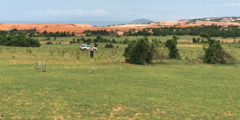 bán đất trồng cây với giá 670 triệu đồng- sổ hồng