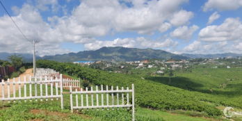 Đất trung tâm TP. Bảo Lộc view thung lũng, săn mây núi Đại Bình, giá rẻ