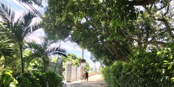 Bán đất giá rẻ,có thổ cư,gần Đầm Thủy Triều Cam Thành Bắc Cam Lâm Khánh Hòa.