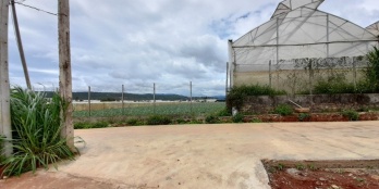 Đất thị trấn thạch mỹ huyện đơn dương