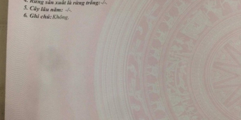 CHÍNH CHỦ BÁN LÔ ĐẤT MẶT TIỀN ĐƯỜNG KINH DOANH BUÔN BÁN SẦM UẤT TT.HƯNG NHÂN - H