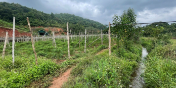 Bán đất làm Homestay Nghỉ Dưỡng Mộc Châu, lưng tựa núi, suối chảy quanh xuất sắc