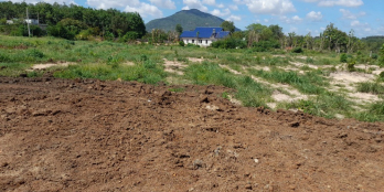 Đất nền khu phố suối nhum đã có sổ riêng công chứng ngay