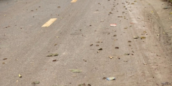 Siêu phẩm lô góc 142m. Nằm tại vị trí đắc địa tại Nghĩa Trụ, Văn Giang