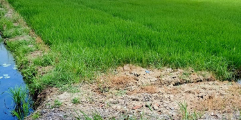 cần tiền bán lô đất 2 mặt tiền 4131m2