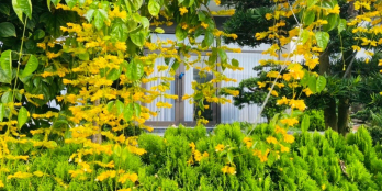 BÁN NGOẠI GIAO ĐẤT BIỆT THỰ 300M2 PHƯƠNG ĐÔNG VÂN ĐỒN HƯỚNG ĐÔNG NAM, VIEW  KÊNH