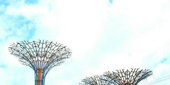 Tại sao đất nền tại cửa ngõ sân bay LONG THÀNH  luôn hot